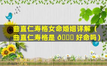 曲直仁寿格女命婚姻详解（曲直仁寿格是 🐎 好命吗）